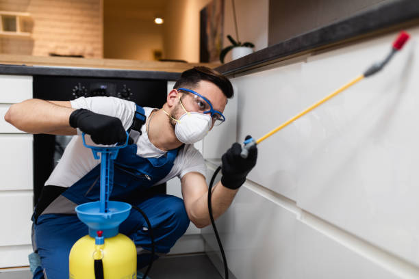 Best Best Pest Control Companies  in Vandalia, MO