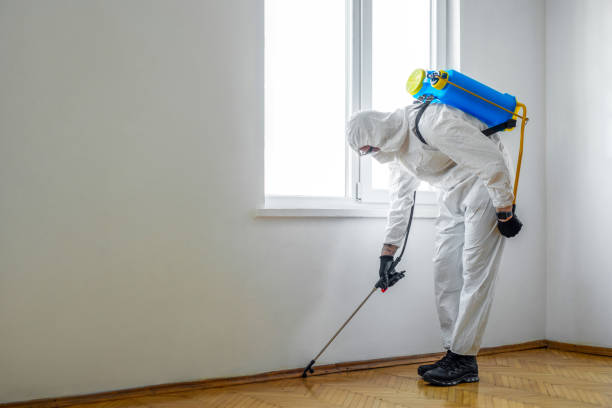 Best Pest Prevention Services  in Vandalia, MO