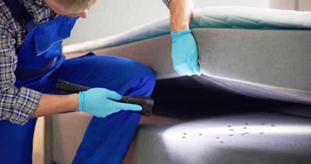 Best Emergency Pest Control  in Vandalia, MO