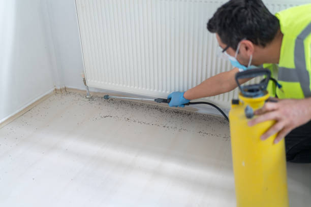 Best Best Pest Control Companies  in Vandalia, MO