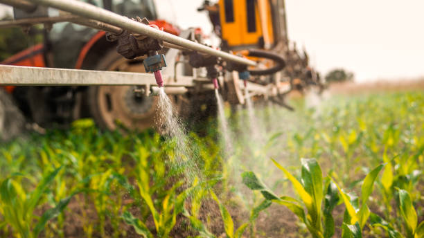 Best Commercial Pest Control Services  in Vandalia, MO